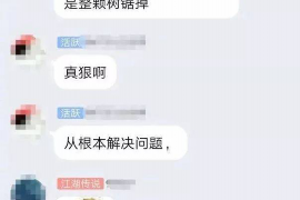 齐河债务清欠服务